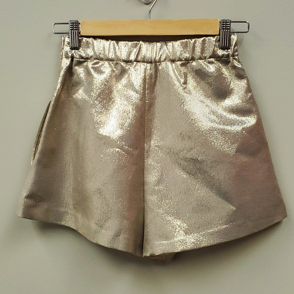 Maje Metallic Silk Blend Short Sz XS  NWT - Picture 6 of 11